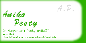 aniko pesty business card